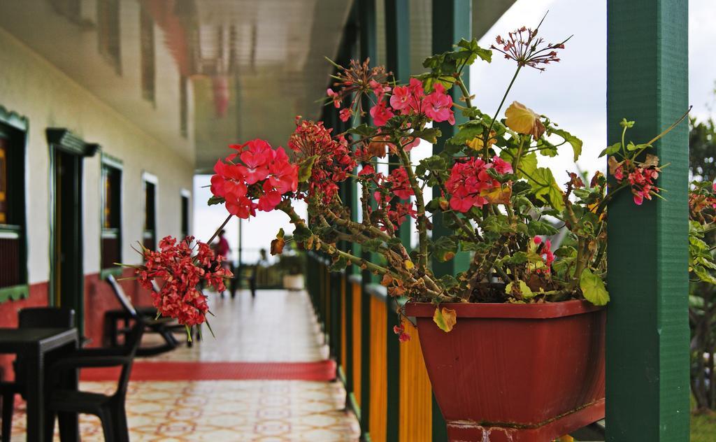 Hostal Casa De Los Taitas Salento Eksteriør bilde